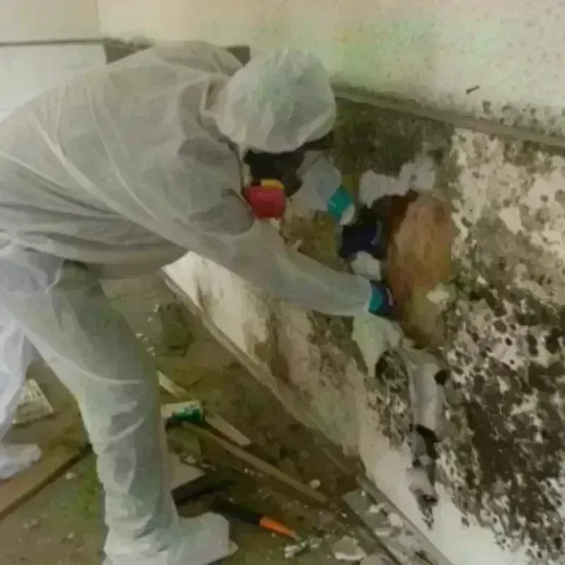 Mold Remediation and Removal in Richmond County, NC