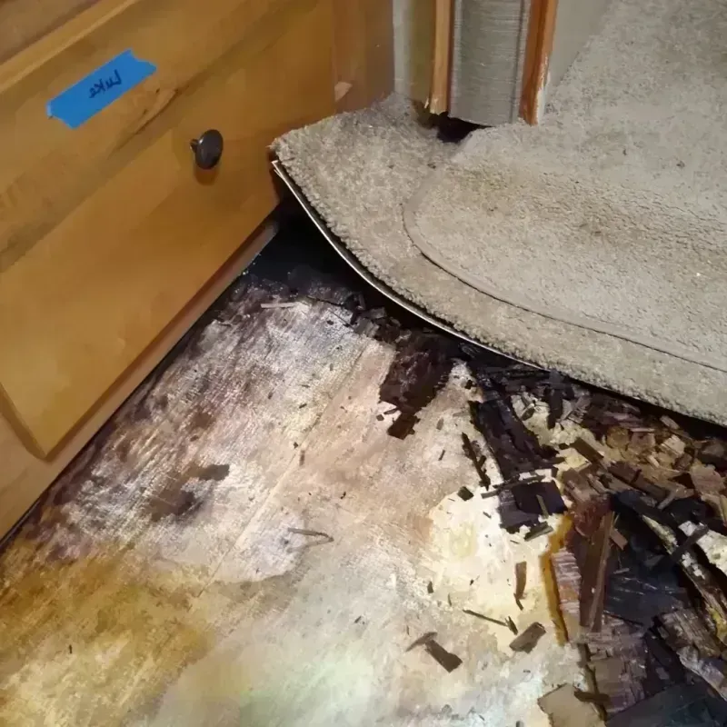 Wood Floor Water Damage in Richmond County, NC